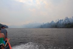61-forest fire, a common phenomenon